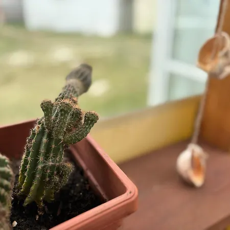 Kemping каравана рапунцел - Rapunzel Caravan Bałczik