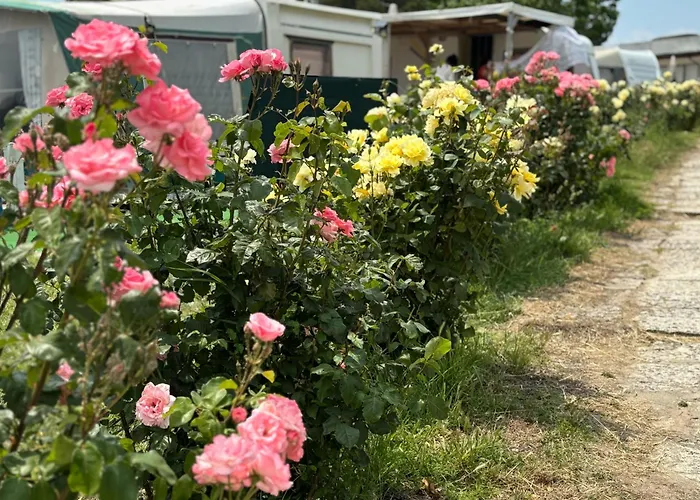 каравана рапунцел - Rapunzel Caravan Kemping