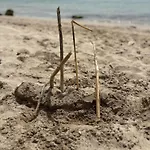 каравана рапунцел - Rapunzel Caravan Kemping *