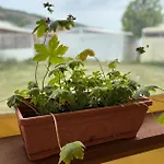 Kemping каравана рапунцел - Rapunzel Caravan *