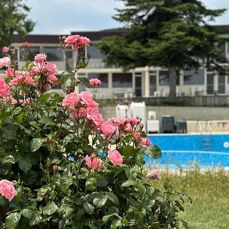 Campsite каравана рапунцел - Rapunzel Caravan *