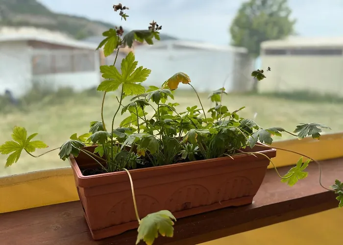 Campsite каравана рапунцел - Rapunzel Caravan *