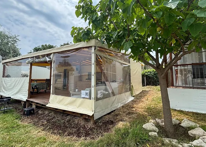 каравана рапунцел - Rapunzel Caravan *